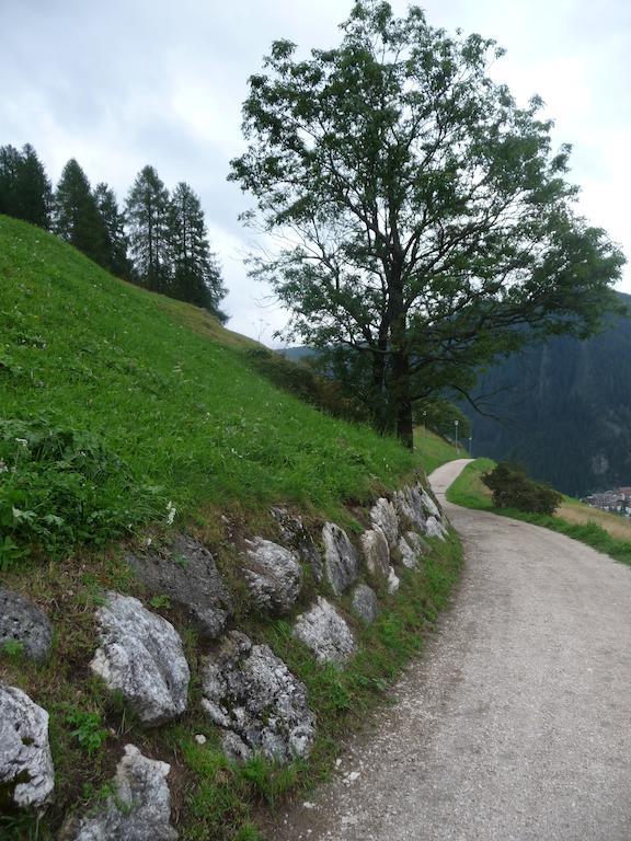 Apartments Residence Alta Badia コルフォスコ エクステリア 写真