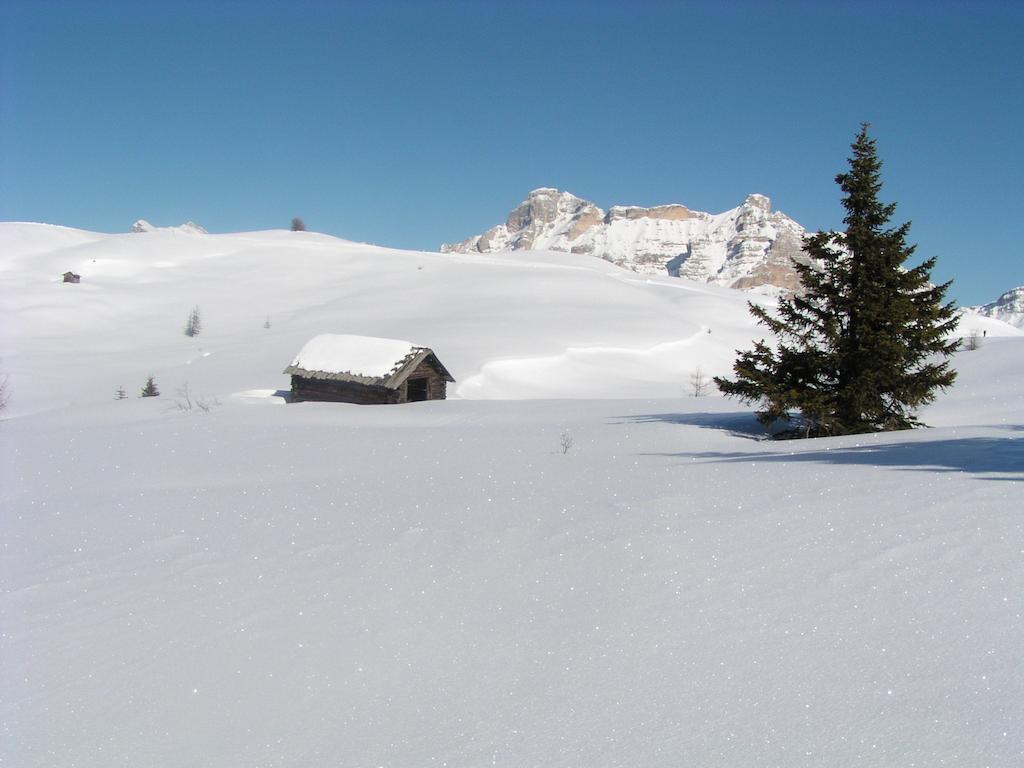 Apartments Residence Alta Badia コルフォスコ エクステリア 写真