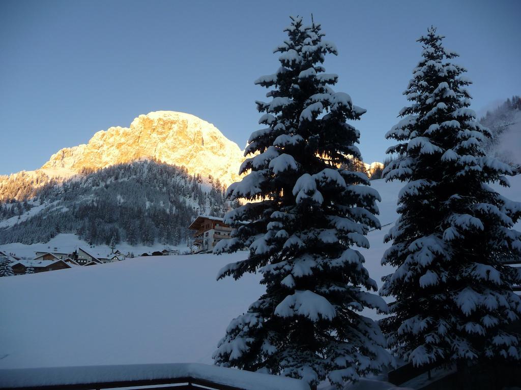 Apartments Residence Alta Badia コルフォスコ エクステリア 写真